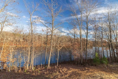 1130 Twin View Cir, Selmer, TN 38375 - photo 6