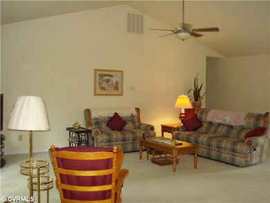 Living Room - cathedral ceilings