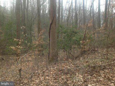 0 Norman Rd unit 1000094901, Stafford, VA 22554 - photo 4