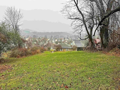 607 Palatine Ave, Fairmont, WV 26554 - photo 3