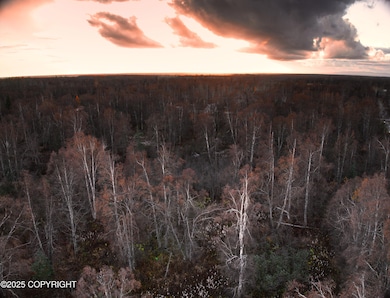 11360 E Fox Trail, Trapper Creek, AK 99683 - photo 6