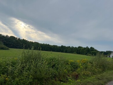 IMG_3445