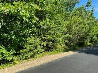 Lot #4 Bonnie Way, Winterport, ME 04496 - photo 5