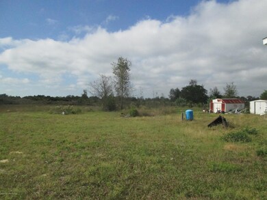 Backyard 1