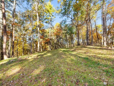 32 Shire Way Ln, Leicester, NC 28748 - photo 3