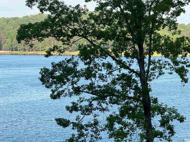 0 Davis Acres Dr unit 72 & 73 21417315, Alpine, AL 35014 - photo 7