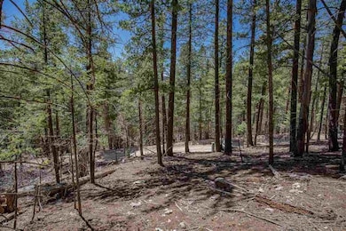 0 Forest View Rd unit 171893, Cloudcroft, NM 88317 - photo 3