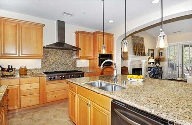 8 burner cooktop with dual sink
