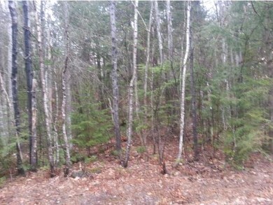 Lot 15 Judges, Thornton, NH 03223 - photo 4