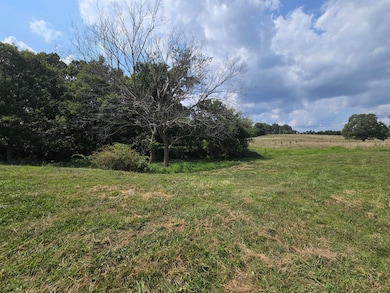 000 Highway 181, Cabool, MO 65689 - photo 3