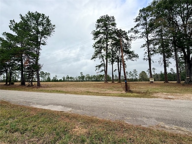 784 County Road 784, Buna, TX 77612 - photo 4