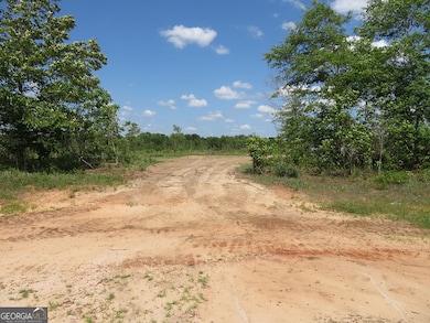 1 Goolsby Rd, Ellaville, GA 31806 - photo 7