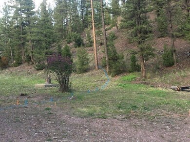 7245 & 723 Trout Creek Rd, Helena, MT 59602 - photo 5