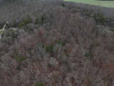 0 Red Hill Rd, Lewisburg, KY 42256 - photo 4