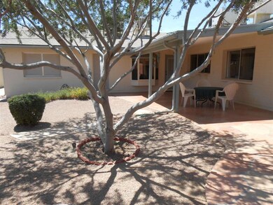 Cool patios and EZ care xeriscape
