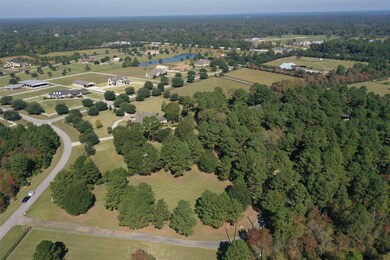 30123 Post Oak Run, Magnolia, TX 77355 - photo 5