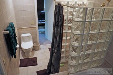 Lower Level Bathroom