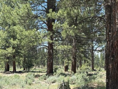 0 Sprague River unit 3007651, Chiloquin, OR 97624 - photo 3