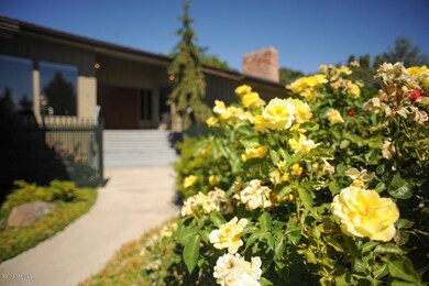 Roses and More Roses
