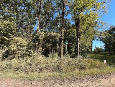 0 Tbd Sailfish Rd, Hochatown, OK 74728 - photo 4