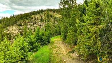 0 W Combest Creek Rd, Plains, MT 59859 - photo 6
