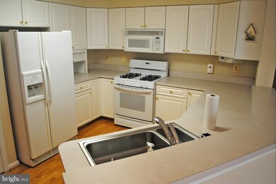 403 Plumbridge Ct unit 303, Lutherville Timonium, MD 21093 - photo 7