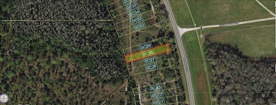0 S Kenansville Rd unit MFRO6241002, Yeehaw, FL 34972 - photo 2