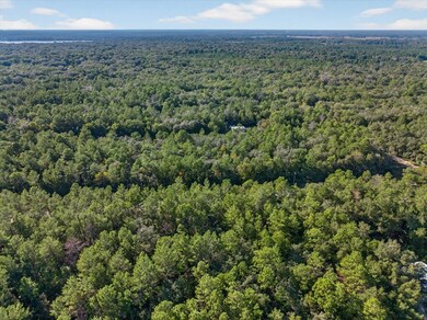 Aerial view of property's location