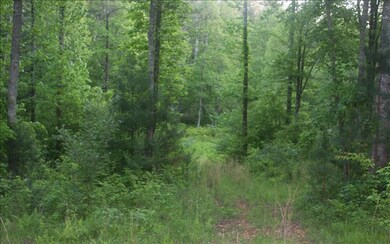 0, Ellijay, GA 30540 - photo 2