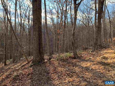 355 Crawfords Climb, Nellysford, VA 22958 - photo 3