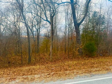 Lot 9 S Bend Dr, Horseshoe Bend, AR 72512 - photo 3