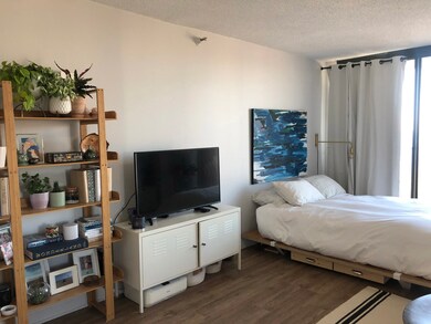 3660 N Lake Shore Dr unit 2709, Chicago, IL 60613 - photo 3