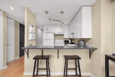 Newberry Plaza unit 39A, Chicago, IL 60610 - photo 5