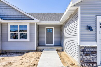 4-web-or-mls-11645 Restful Wy, Allendale