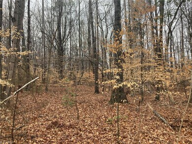 0 Zoo Pkwy unit 1134262, Asheboro, NC 27205 - photo 3