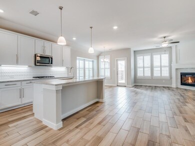 1734 Temperance Way, Wylie, TX 75098 - photo 6