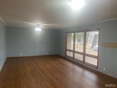 427 State Highway Af, Dexter, MO 63841 - photo 2