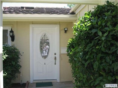 New Front Door with Security Light