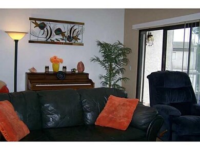 7321 Alicante Rd unit C, Carlsbad, CA 92009 - photo 3