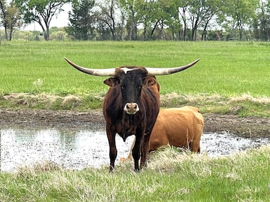 TBD Phase 2 Lot 3 Pop Noah Rd, Tioga, TX 76271 - photo 6