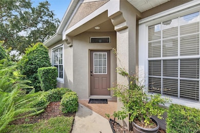 5717 Heronpark Place, Lithia, FL 33547 - photo 5