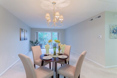 Eagle Point Condominiumns unit 202, Niles, IL 60714 - photo 2