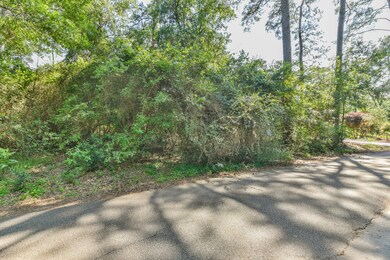 00 Warbler Way, Holly Springs, TX 77447 - photo 2