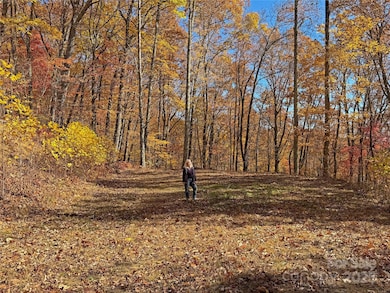 890 Panther Branch Rd, Hot Springs, NC 28743 - photo 3