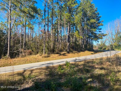 5.25 Ac Sally Parker Rd, Lucedale, MS 39452 - photo 2