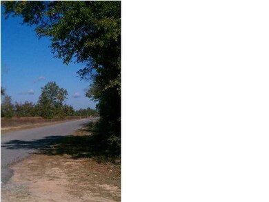 4606 Dove Way, Crestview, FL 32539 - photo 5