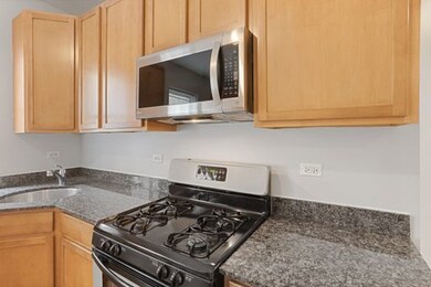 2015 W Jarvis Ave unit 1, Chicago, IL 60645 - photo 6