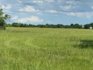 9607 Needville Fairchilds Rd, Needville, TX 77461 - photo 7