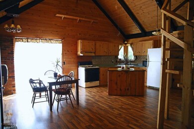 7180 N Walnut Ave, White Cloud, MI 49349 - photo 5