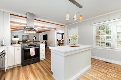 526 Rock Springs Rd, Lancaster, SC 29720 - photo 5